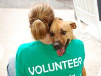 Rescue-volunteer.jpg